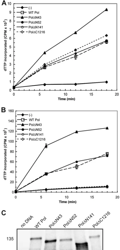 TABLE 1 Summary of in vitro polymerase activity of selected Polmutant proteins