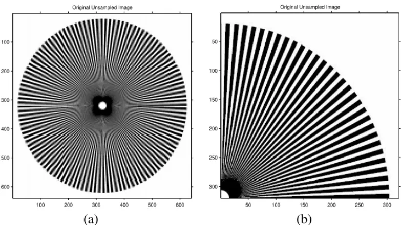 Figure 4.11 Type III Test Image, a) Full-size Starburst Image b) Upper right quadrant, used in tests