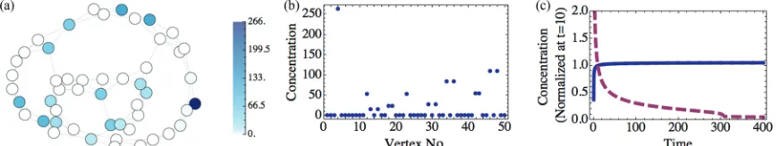 FIG. 6. (Color online) (a) Concentration of particles at tand 5 (dashed line). These concentrations are normalized to the concentration atStrogatz network with rewiring probability = 400 on network and (b) distribution of concentration, for a 50 vertex Wat