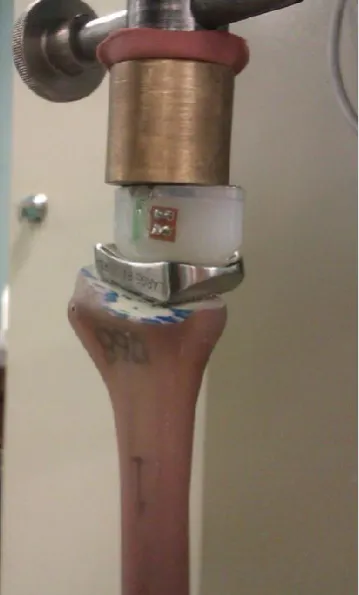 Figure 3b: Experimental setup 