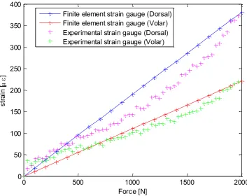 Figure 6: Strain measurements on the distal aspect of the radial component 