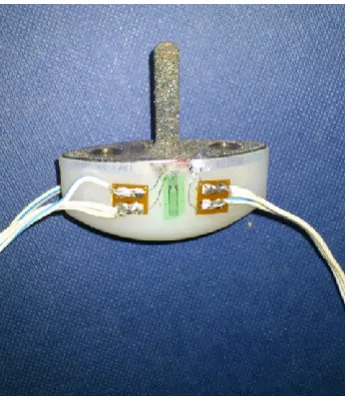 Figure 2b: Strain gauges applied onto the 