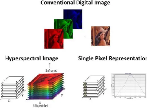 Figure 1: Conventional digital imaging and Hyperspectral imaging. 