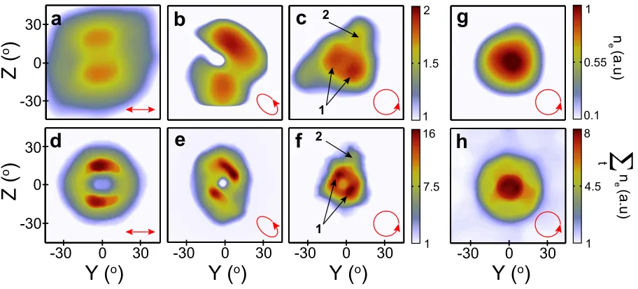 Figure 4: Experiment and 3D PIC simulation results for the electron density distribution