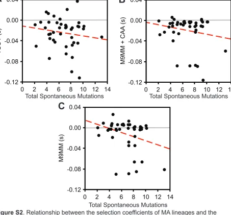Figure S2Total Spontaneous Mutations. Relationship between the selection coefficients of MA lineages and the number of spontaneous mutations that they harbor for all three environments