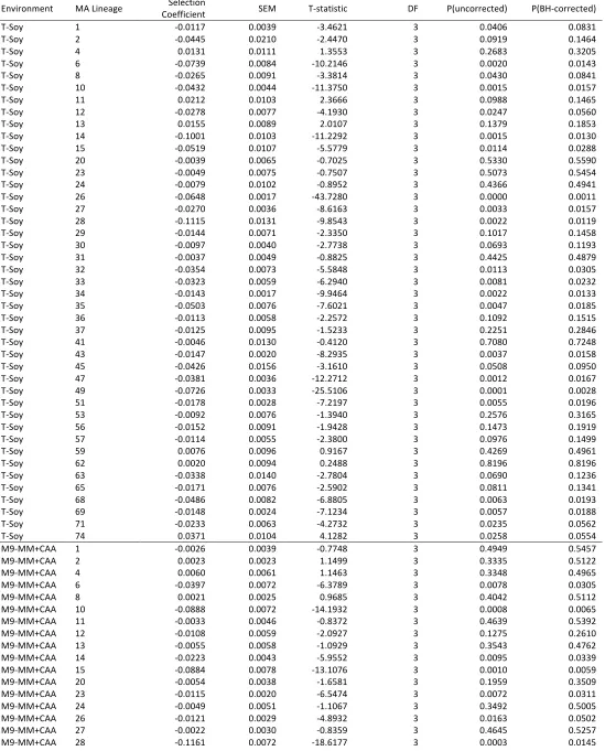 Table S2. Selection coefficients (s) and two-tailed t-statistics for each of the forty-three mutation accumulation lineages in each of the environments studied