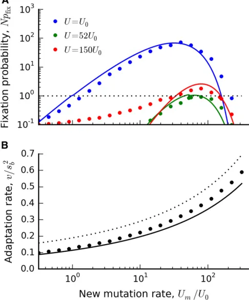 Figure 4 The predictedjNs ﬁxation probability of a modiﬁer allele whenb ¼ 106 and e ¼ 1026: Grid points are colored according to the valueof Npfix from Equation (38), and are capped at a maximum value oflog2Npfixj ¼ 2 to maintain contrast