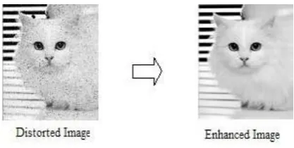Fig 1: example of enhancement  