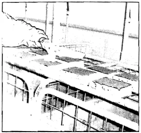 Table 18.1. Cleaning methods assessed during the study. 