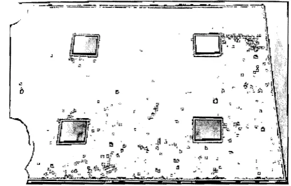 Figure 18.4. Taking swab samples from hygiene pavers, 