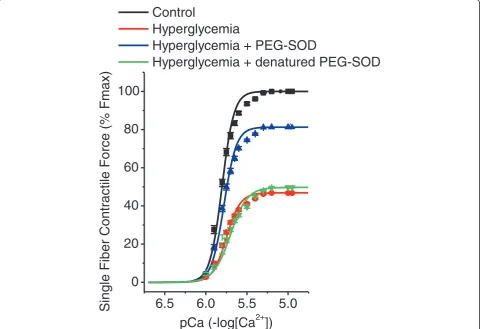 Figure 4 PEG-SOD restores hyperglycemia-induced reductions in diaphragm permeabilized single fiber contractile force generation.Force pCa relationships in single permeabilized diaphragm fibers from control (black), hyperglycemia (red), hyperglycemia + PEG-