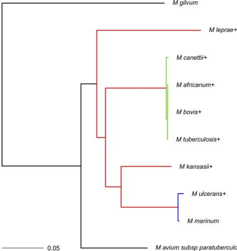 Figure 5 Phylogram for theproportion was Mycobacterium spp. data from O’Neill et al.(2015)