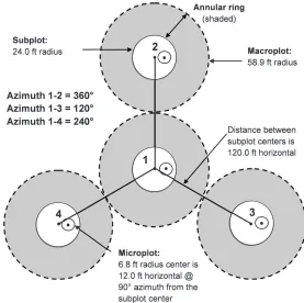 Figure 1.3—The Forest Inventory and Analysis mapped plot design. Subplot 1 is the center of the cluster with subplots 2, 3, and 4 located 120 feet away at azimuths of 360°, 120°, and 240°, respectively (Woudenberg and others 2010).