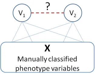 Figure 1: Inferernce of match between unlabeled pheno-type variables by exploring their linkages to labeled pairs