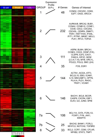 FIG 2 K-means clustering reveals distinct patterns of EBV-induced transcriptomic changes throughout outgrowth