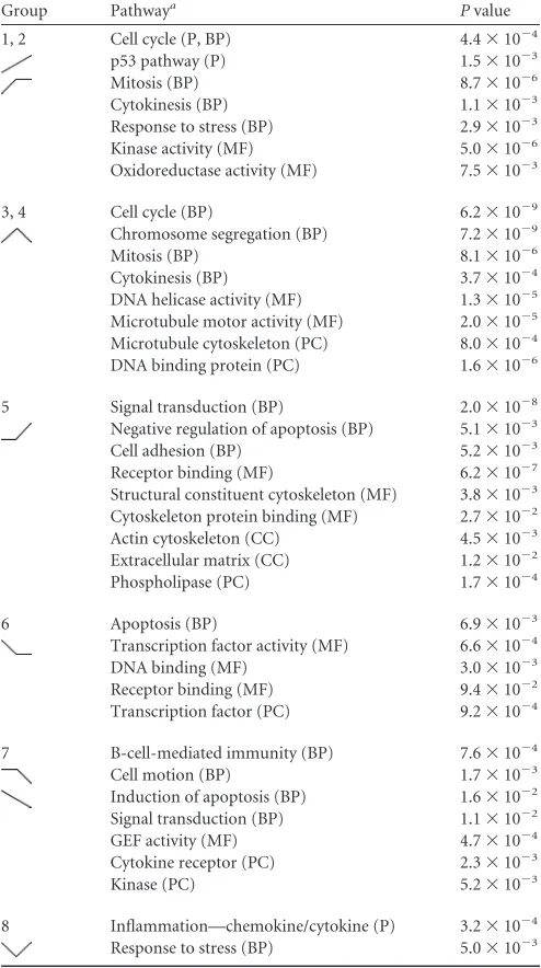 TABLE 1 Summary of gene ontology analysis results