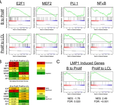 FIG 3 Gene set enrichment analysis reveals differential transcription factor usage between early and late times postinfection