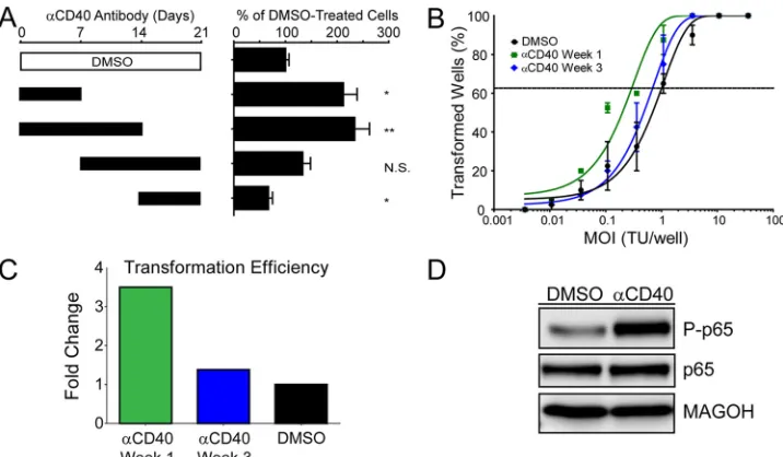 FIG 5 Rescuing NF-Error bars are SEM for two biological replicates. (C) Transformation efﬁciencies for thethe DMSO control level