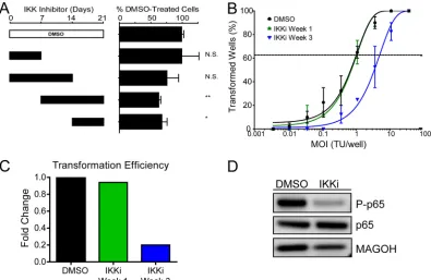 FIG 6 Early proliferating cells are less NF-of IKK14, or 21 days postinfection. After 21 days, samples were analyzed by FACS, and events were normalized to a known number of Sepharose beads present in thesample