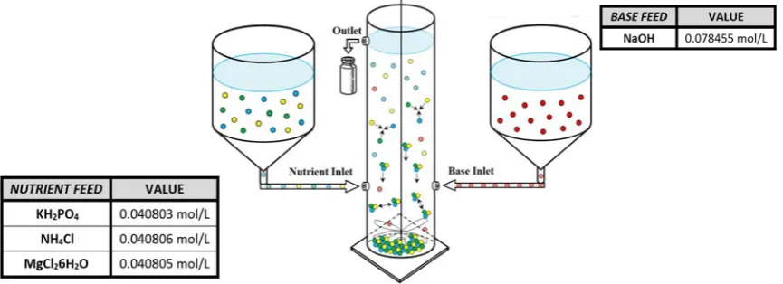 Figure 1: Schematic diagram of mixed-mode nutrient recovery reactor  