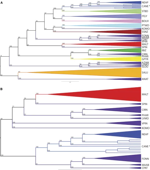 Figure 7 SNP-based neighbor-joining cladograms for (A) Mediterranean and (B) Italian breeds