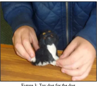 Figure 3: Toy dog for the dog 