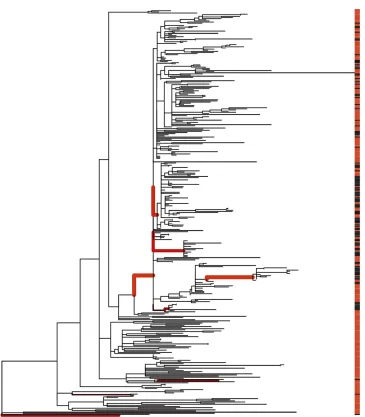 Figure 5 Application to Salmonella ecol-