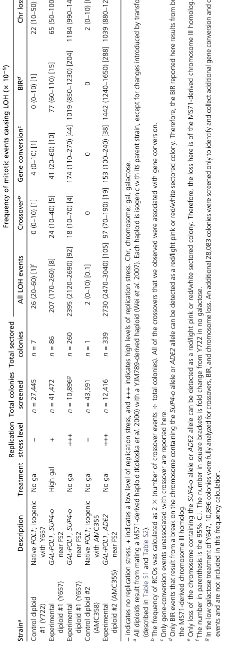 Table 1 Gene conversion and other events causing LOH in mitosis as a result of instability at fragile site FS2