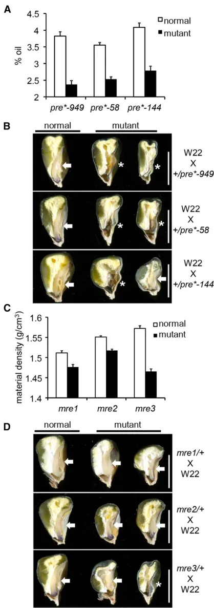 Figure 3 Map positions for three parent-of-origin-effectgrated physical-genetic maps for (A) rgh loci