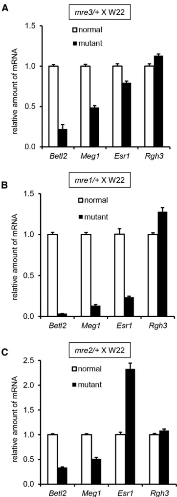 Figure 6 Quantitative RT-PCR of endosperm cell type marker genes in(C)for the+mre mutants