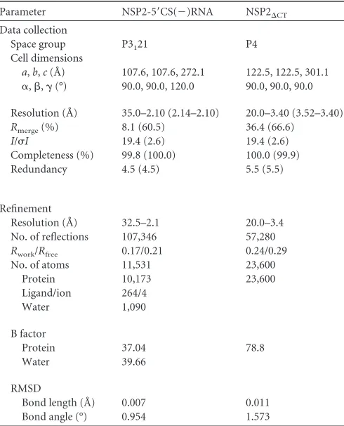 TABLE 1 Diffraction data collection and reﬁnement statistics of NSP2/RNA complex and NSP2�CTa