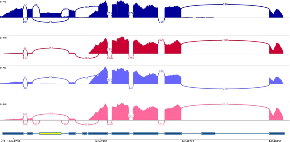 Figure 3 Genotype- and temperature-dependent alternative splicing. Sashimi plots for exon skipping of the third exon (marked in yellow) of the geneCG42351