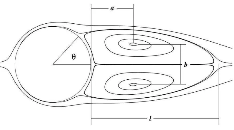 Figure 5: Shape parameters of the wake formed at Re = 30 [8].
