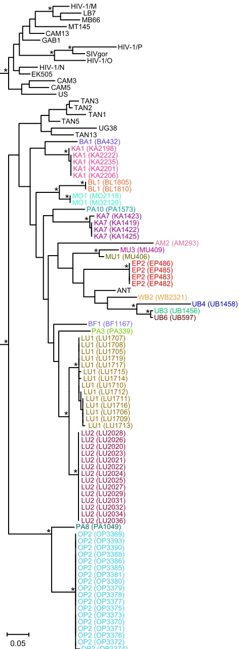 FIG 3 SIVcpz strains from the DRC cluster according to their subspecies oforigin. A maximum likelihood tree was constructed from partial (232-bp) polsequences (spanning HXB2 coordinates 4682 to 4913)