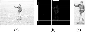 Fig. 3.Bounding box extraction process from (a): Original image to (b):edge image and projection on horizontal and vertical axes and (c): boundedimage (resized)