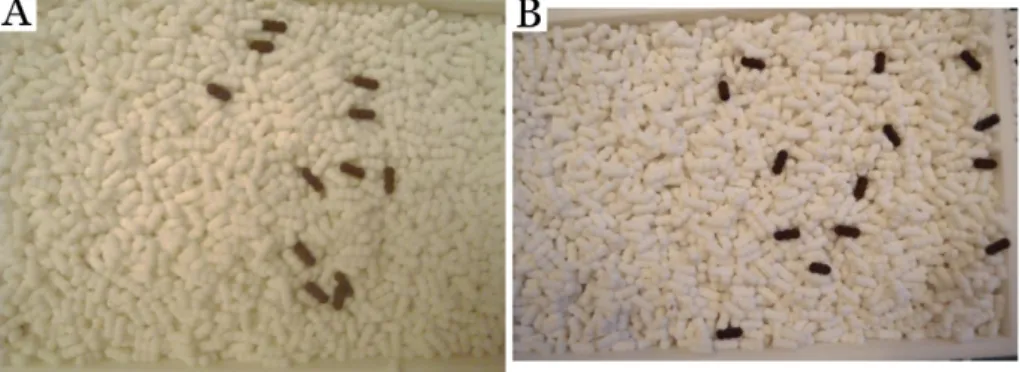 Fig. 9. Alignment of particles subjected to the spreading process. Two different spreader types are used: (A) roller, (B) blade.
