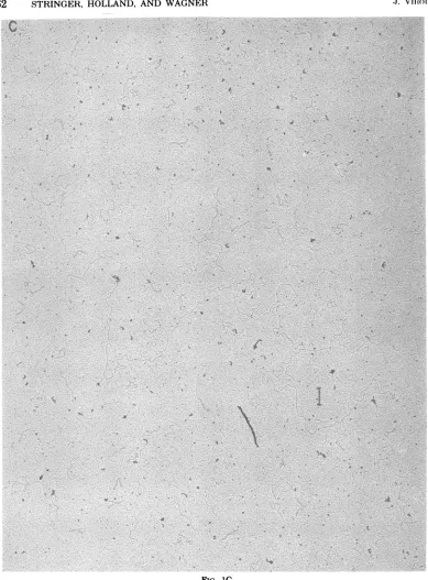 FIG. 1C.