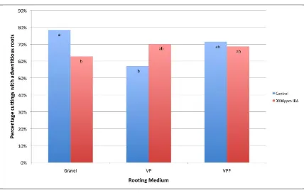 Figure 3.1 Percentage of cuttings with adventitious roots across 10 seedling genotypes for each of the three assessments (33, 65 and 113 days)