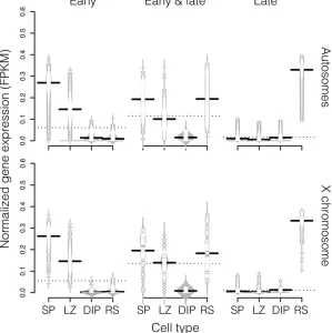 Figure 3 Expression patterns for genes induced at differ-ent stages of spermatogenesis in M