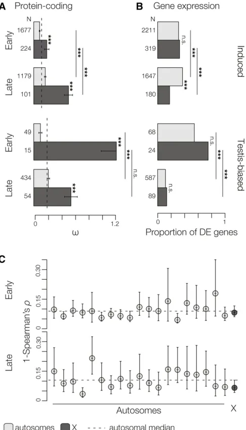 Figure 4 Evolutionary divergence in protein-coding sequence and ex-X-linked genes is either equivalent or slower than autosomal genes andthere is a marked drop in the proportion of testis-biased genes inducedlate in spermatogenesis that are DE.icant differ