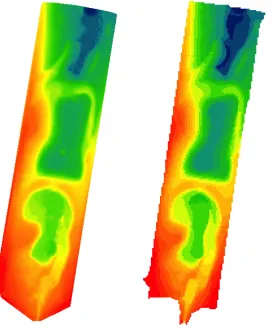 Figure 
  4 
  High 
  resolution 
  DEMs. 
  LiDAR 
  generated 
  DEM 
  is 
  shown 
  on 
  the 
  left 
  and 
  GPS 
  generated 
  DEM 
  is 
  shown 
  on 
  right