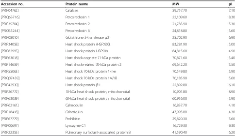 Figure 2 Protein content in bronchoalveolar lavage fluid withand without exposure to smoke and mechanical ventilation.Mechanical ventilation plus smoke exposure (S-V) led to significantincreases in bronchiolar lavage (BAL) fluid protein content comparedto 