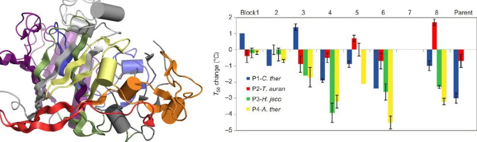 Figure 1-3. Thermostability contributions of recombined blocks can be determined using 