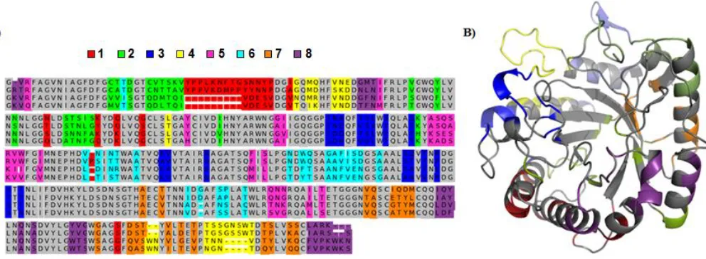 Figure 2-1. Cel5a recombination scheme. A) Sequence alignment of Cel5a homologues from H