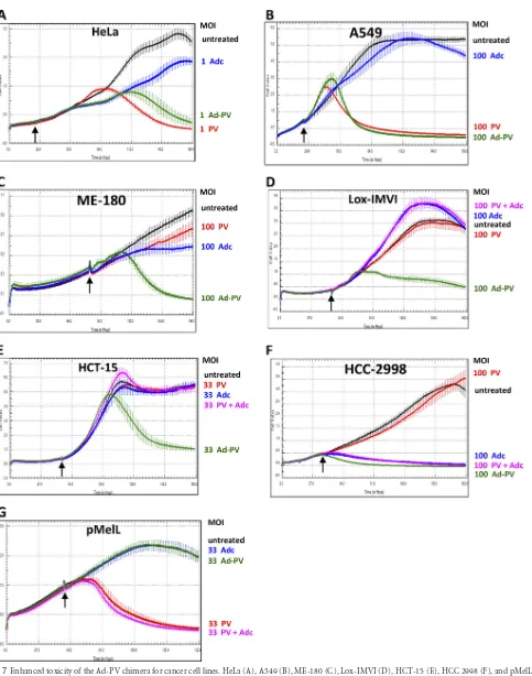 FIG 7 Enhanced toxicity of the Ad-PV chimera for cancer cell lines. HeLa (A), A549 (B), ME-180 (C), Lox-IMVI (D), HCT-15 (E), HCC 2998 (F), and pMelLtime using the xCelligence system