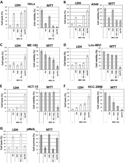 FIG 6 Improved cytotoxic activity of Ad-PV chimera toward cancer cell lines. LDH and MTT assays were used to measure infected cell killing andviability, respectively