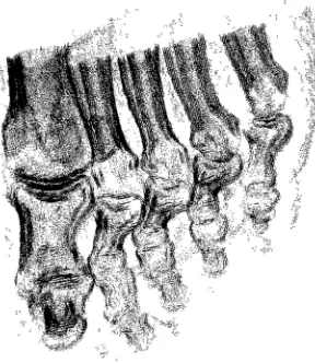Figure 3.5: Stippled volume visualization with interior enhancement and silhouette curves created by Lu et al.