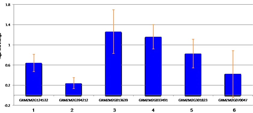 Figure S4. qRT-PCR validation of DEGs using an independent 3.3 Mbp inverted 