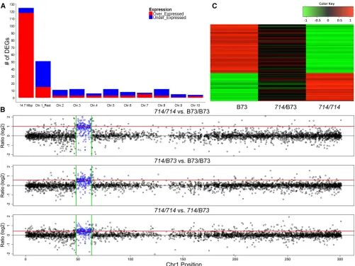 Figure 2 DEGs and dosage-dependent expression pattern revealed by RNA-seq. (A) The distribution of DEGs between homozygousratios (logDEGs unlinked with the duplicated region: 33 genes overexpressed (red) and 57 genes underexpressed (green) inThe transcript