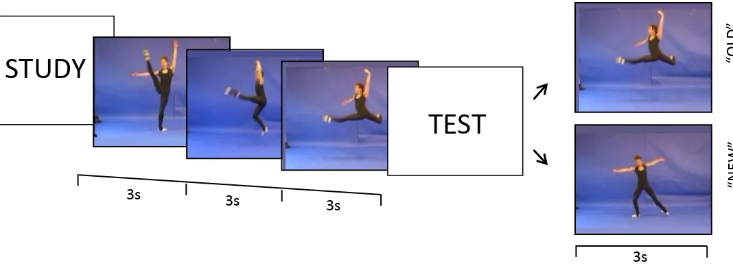 Figure 2. Experiment 1, Trial sequence. A posture-posture trial is shown. In the study phase, three postures are shown sequentially